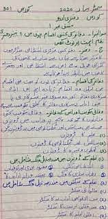 i can write urdu assignment
