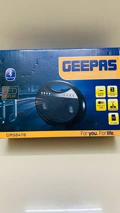 Black GEEPAS Speakers