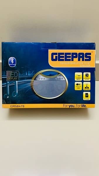 Black GEEPAS Speakers 2