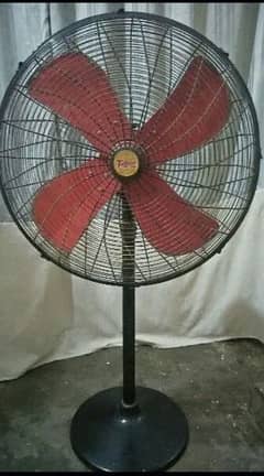 tamoor Fan. . big size