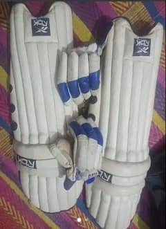 Batsman Pads and Gloves