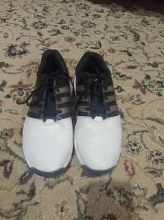 Golf shoes ( imported )
