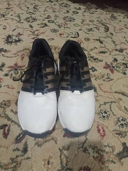 Golf shoes ( imported ) 0