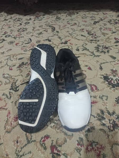 Golf shoes ( imported ) 3