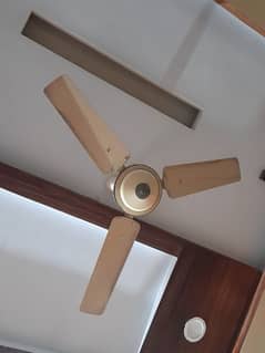 Electric Celing Fan 48 inch