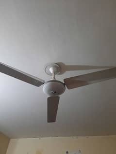 Perfectly Working Ceiling Fans