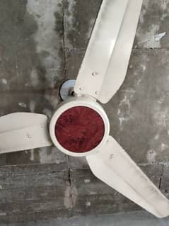 Pak ceiling fan 100 copper wire