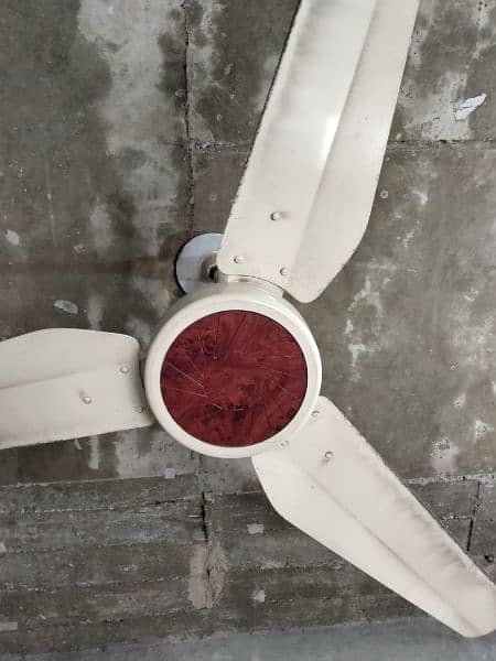 Pak ceiling fan 100 copper wire 0
