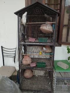 ready to breed birds 3 portion Cage