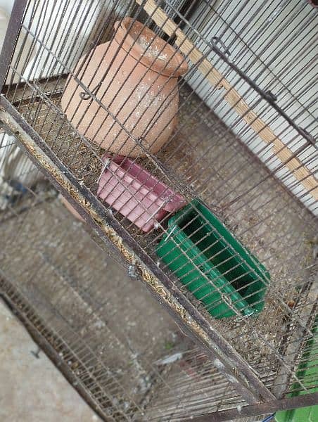 ready to breed birds 3 portion Cage 3