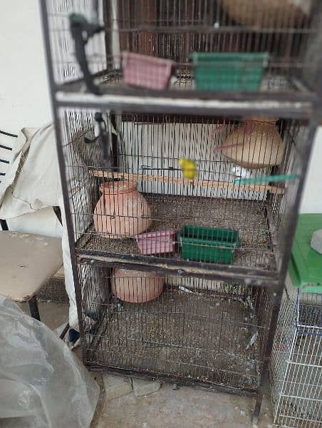 ready to breed birds 3 portion Cage 4