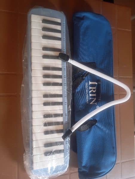 Melodica & Softcase 1