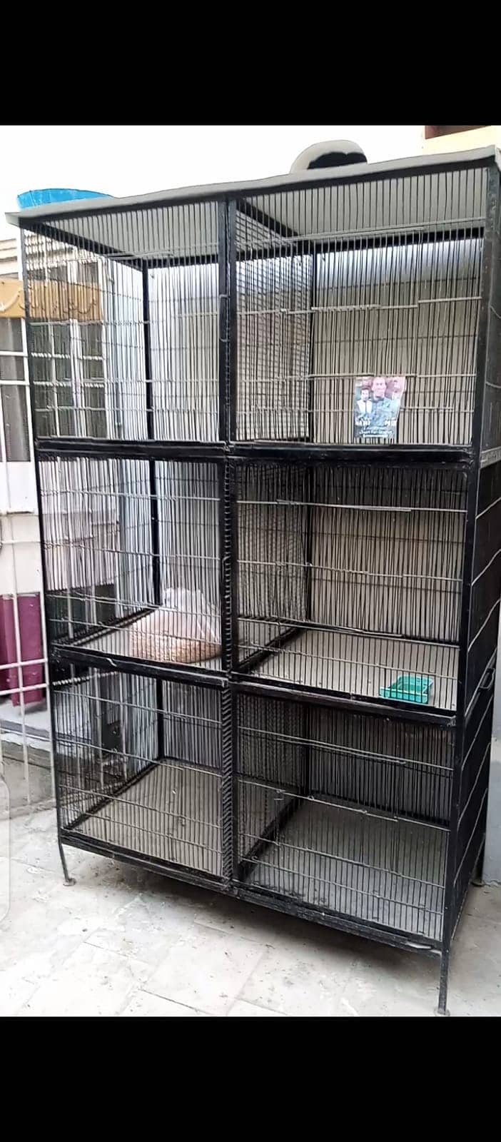 14 WIRE STRONG CAGE LOCATION NORTH KARACHI NEW PRICE 30K ALMOST 0