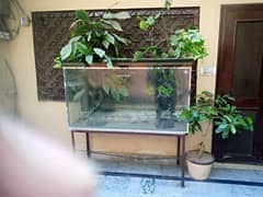 aquarium 52 inch churaai 32 inch lambaai 22 inch side churrai