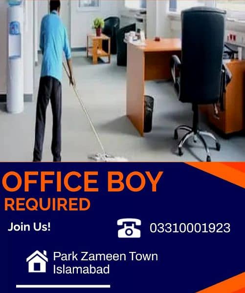 Office Boy 0