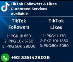 TikTok Services Available