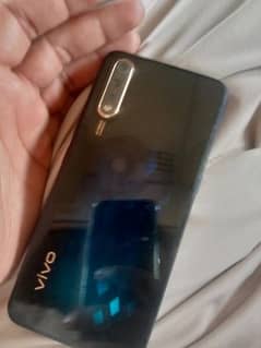 vivo