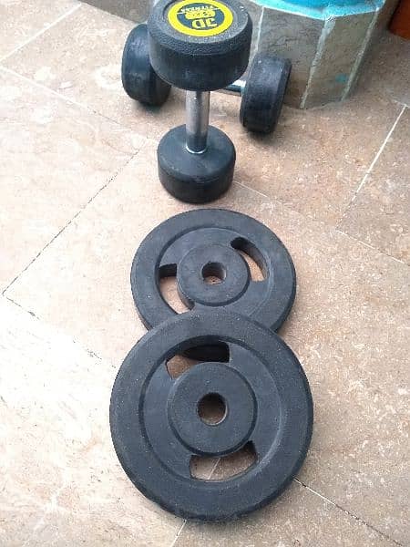 dumbbells with plat 1