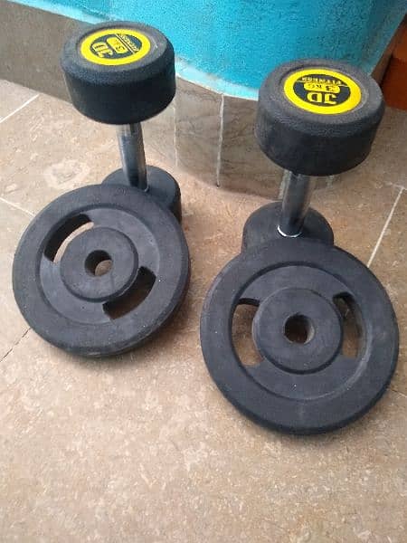 dumbbells with plat 3