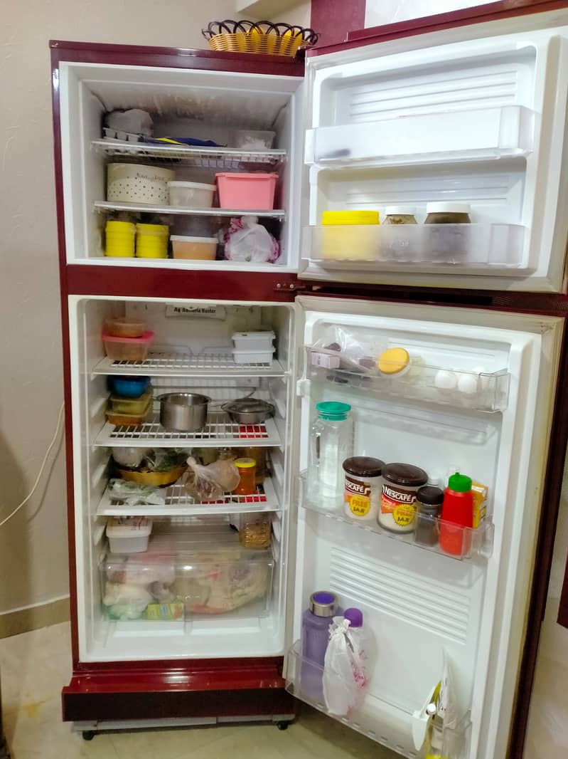 Pel full size fridge 1