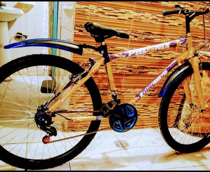 brand New not used bicycle full size dual gear call no 03317577036 0