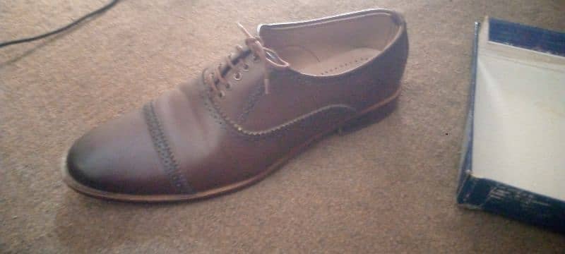 office shoes 1