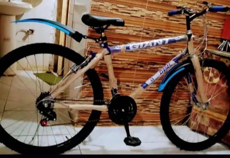 brand New not used bicycle full size call no 03149505437 0