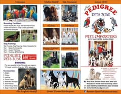 Caucasian Shepherd | Puppies | pedigree dogs | Confirm breeder