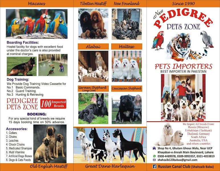 Caucasian Shepherd | Puppies | pedigree dogs | Confirm breeder 0