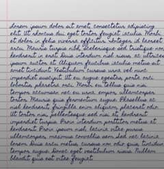Handwritting assignment work available at cheapest rate