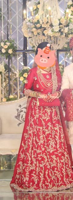 Barat Bridal/ Red lehnga/Wedding red dress/ Formal Lehnga