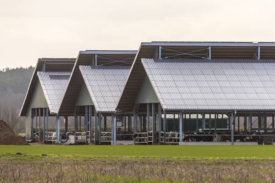 Industrial Sheds | Iron Structure | Warehouse Sheds | Dairy Sheds 15