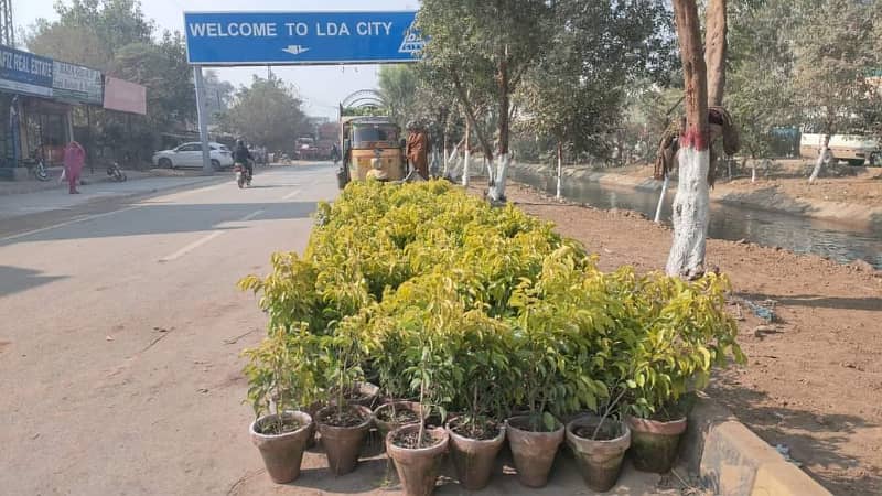 5 Marla Investment Purpose Ideal Location Plot For Sale in C Block LDA City Lahore 4