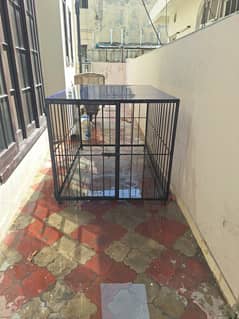 BRAND NEW IRON CAGE FOR LARGE BREEDS IN LAHORE .
