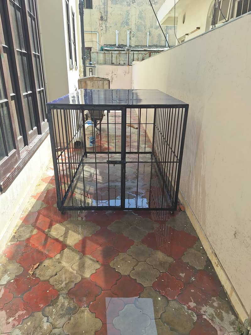 BRAND NEW IRON CAGE FOR LARGE BREEDS IN LAHORE . 0