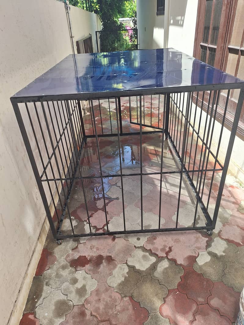 BRAND NEW IRON CAGE FOR LARGE BREEDS IN LAHORE . 2