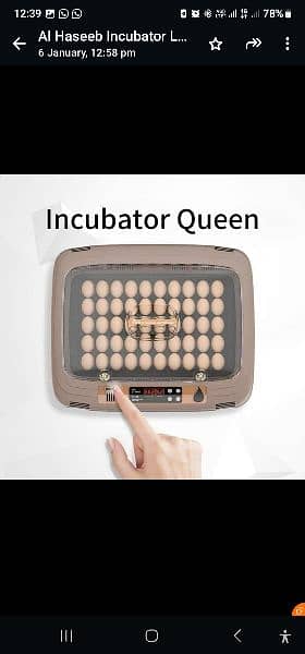 HHD QUEEN INCUBATOR FOR SALE / AUTOMATIC INCUBATOR SLITLY USED. 1