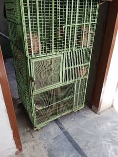 parrot iron cage
