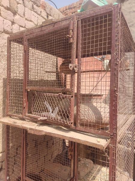 cage good condition 2
