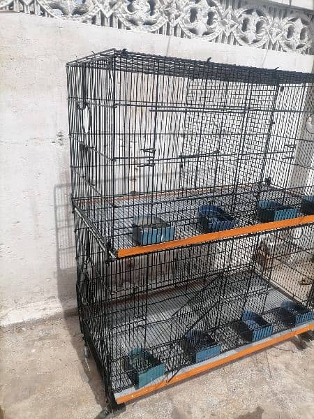 cage sale 03359002541 1