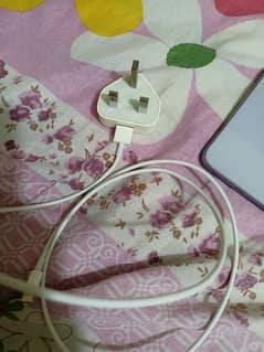 iphone orignal charger 100%