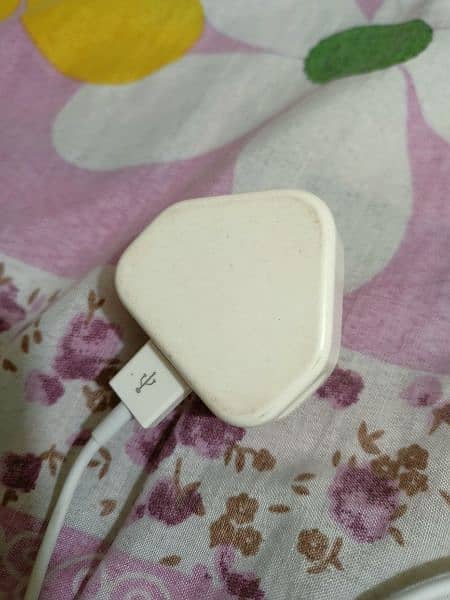 iphone orignal charger 100% 1