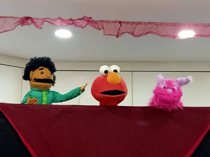 Magic show puppet show Birthday party planner event decor cartoons 4