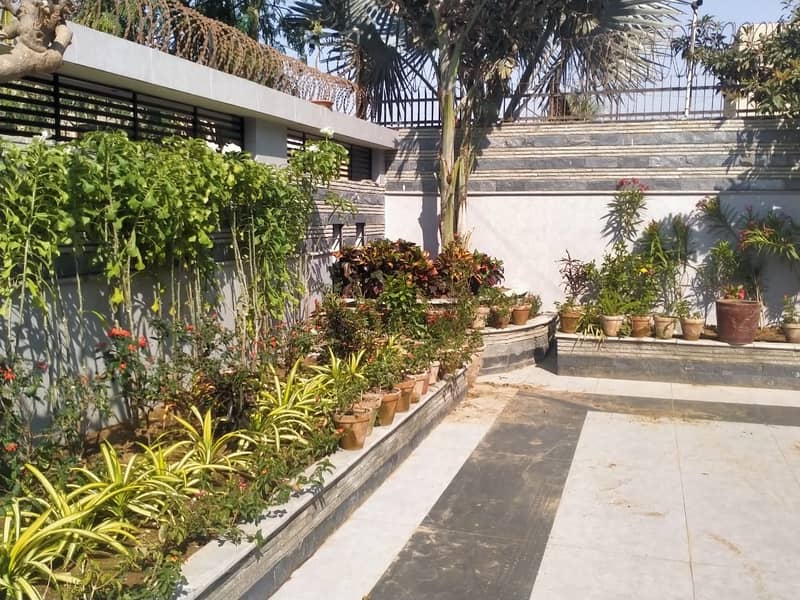 Decorate Garden, Transform Your Garden, Garden Repairing Services 9