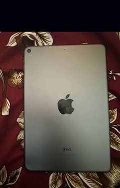 iPad mini 5 64 gb panel damage