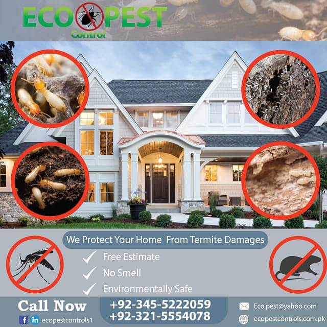 Pest Control/Termite deemak Control/Mosquito Spray/Fumigation 3