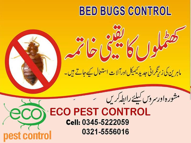 Pest Control/Termite deemak Control/Mosquito Spray/Fumigation 4