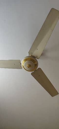 Indus company fans for sale 0