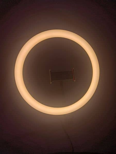 10.2 inch Selfie Ring Light  (IMPORTED) 3
