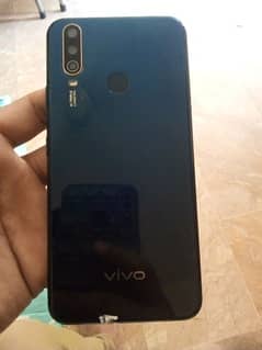 vivo